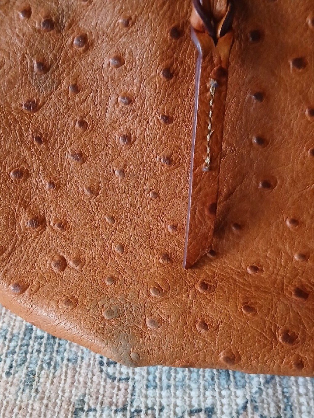 Dooney & Bourke Tan Ostrich-Embossed Shoulder Tote - Picture 9 of 9